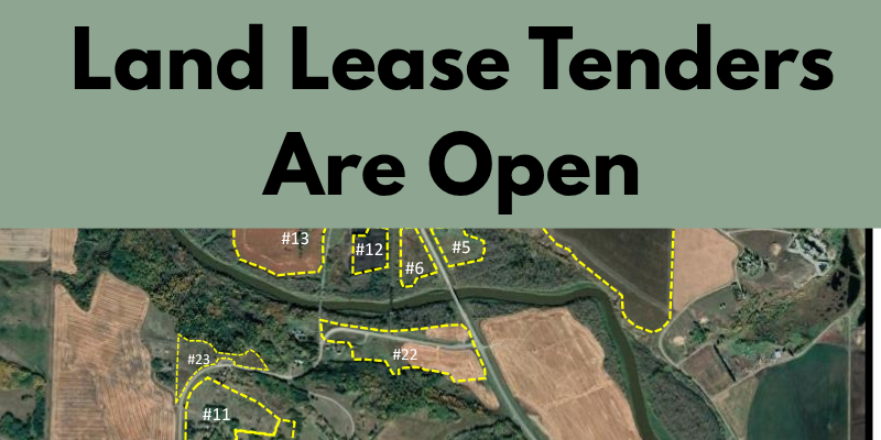 land_lease_tenders